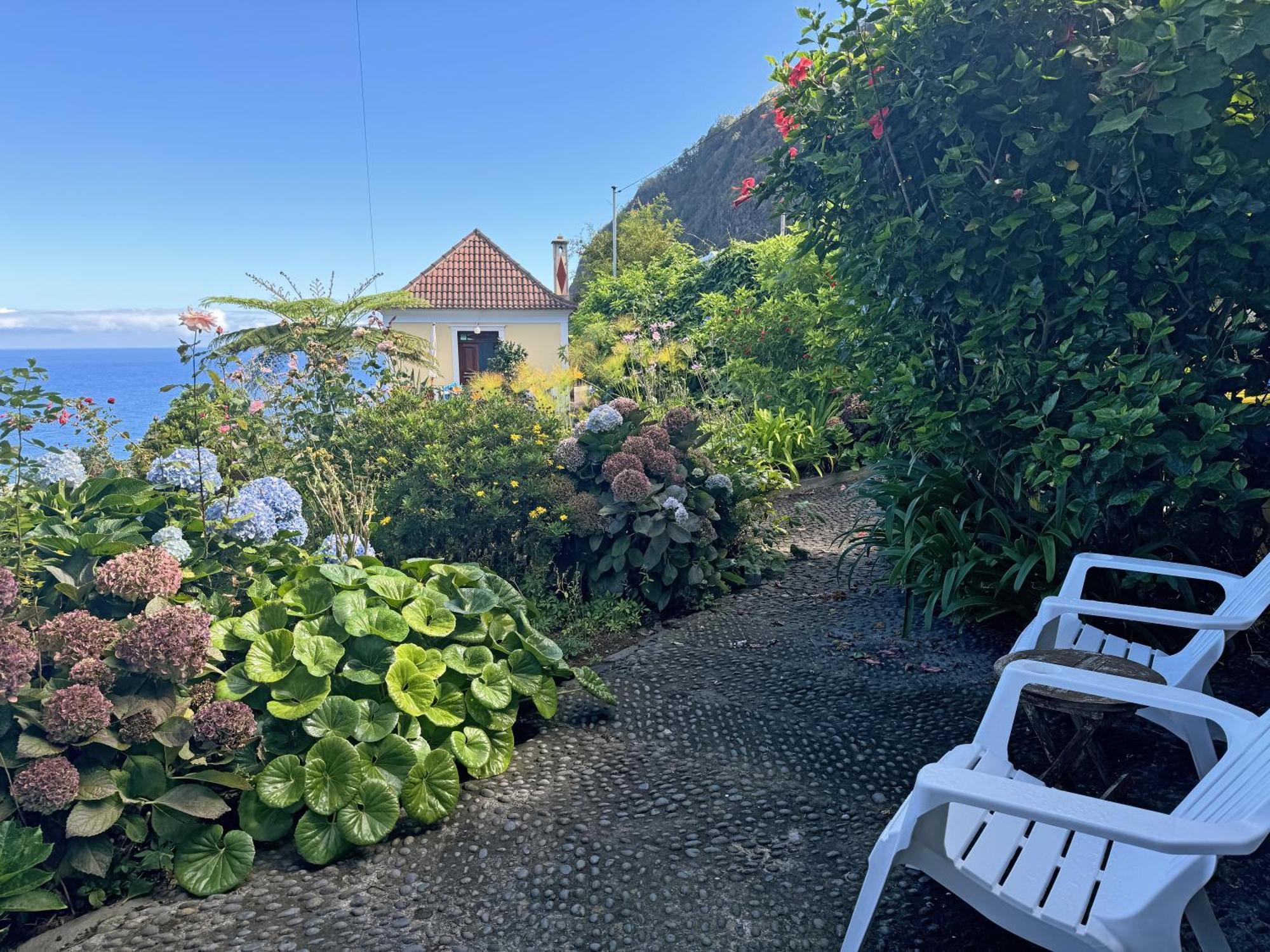 Quinta Das Hortensias Arco de São Jorge Екстериор снимка